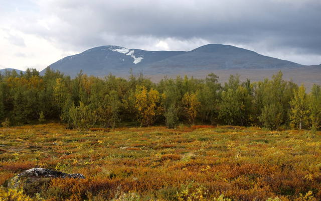 Abisko-Siellavaggi-Abisko 2023