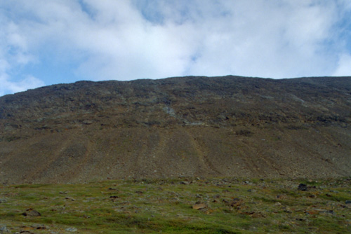 Rieppegaise