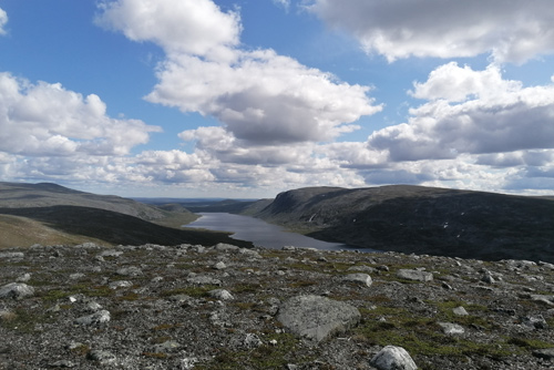Salmivaarat